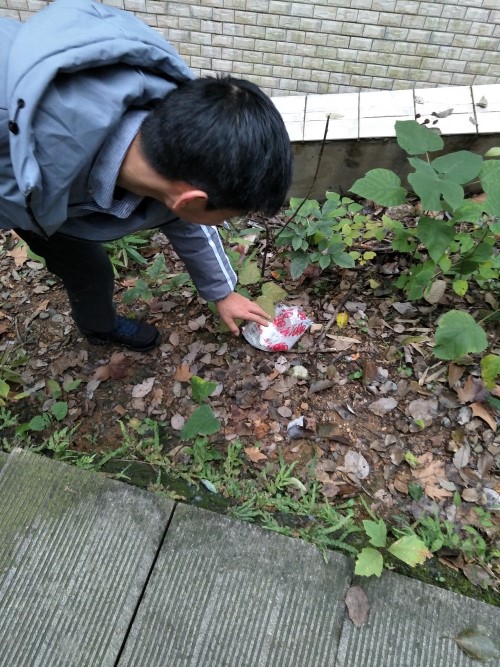 照片二.jpg