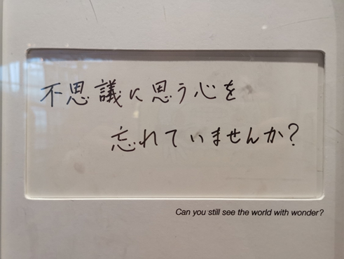 5e62072d47c65.png image.png